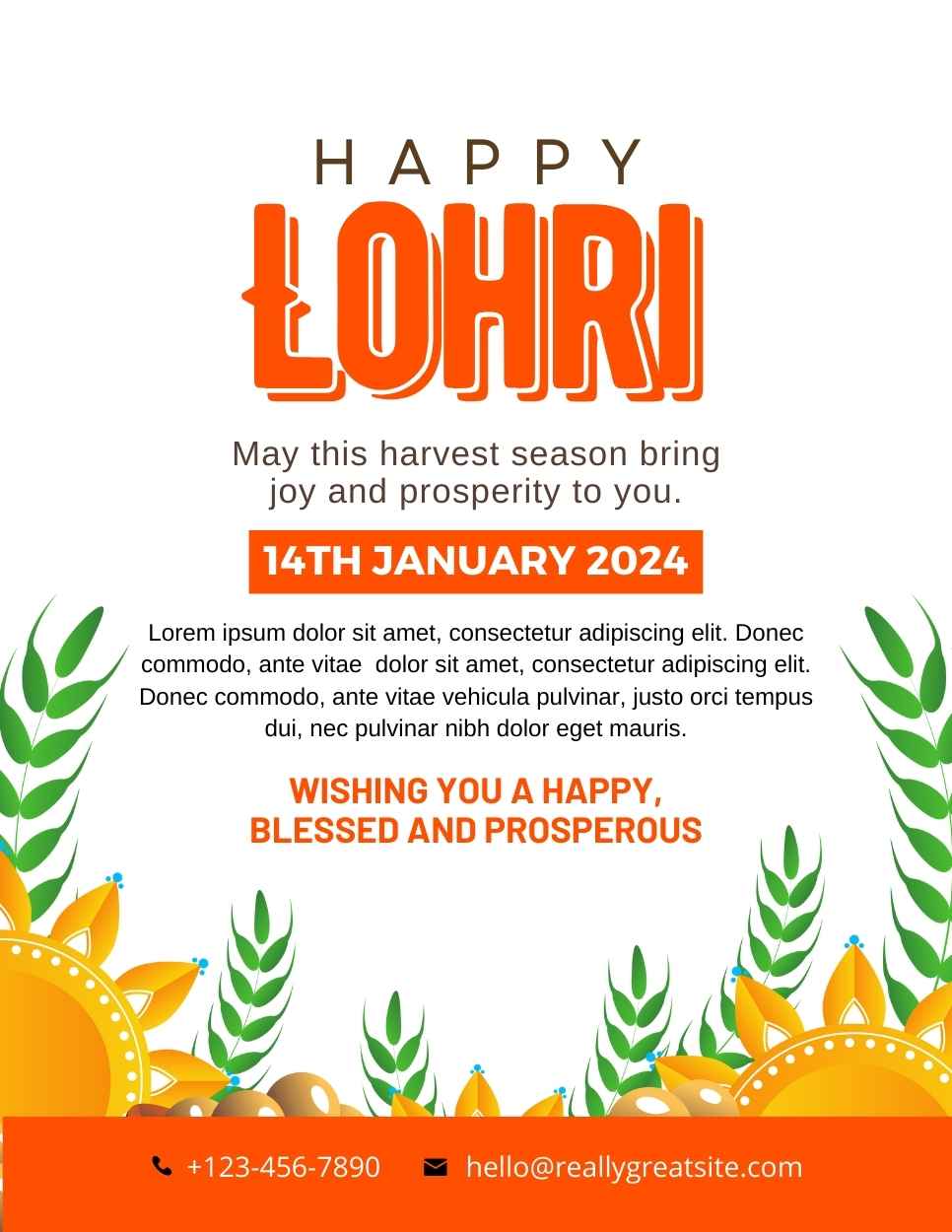 Lohri IB 2513