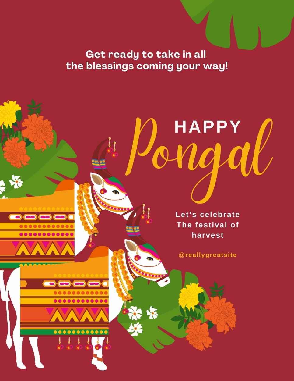 Pongal IB 3321