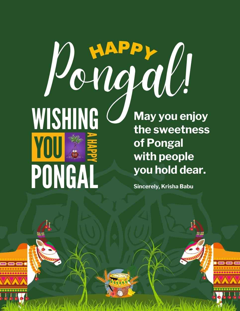 Pongal IB 3325