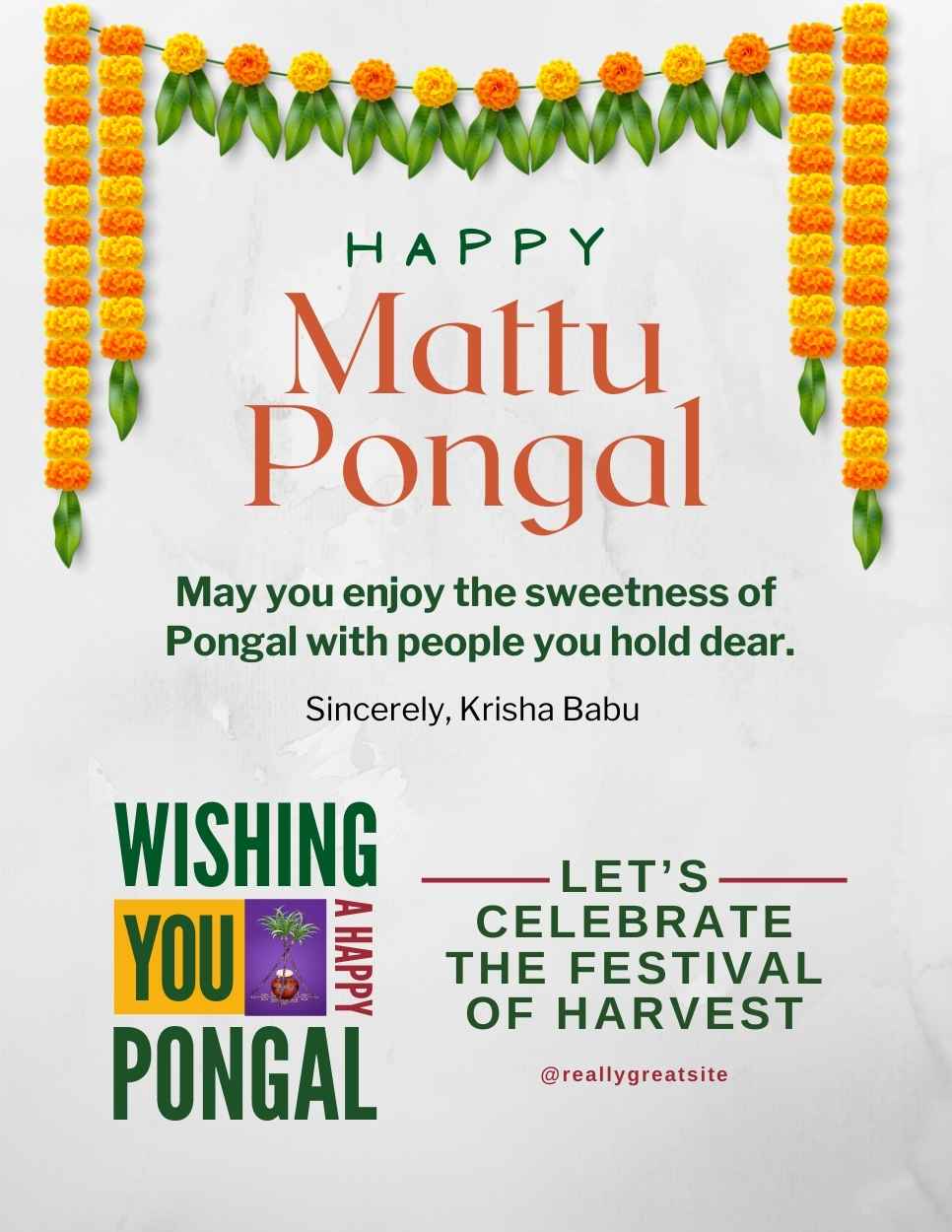 Pongal IB 3327