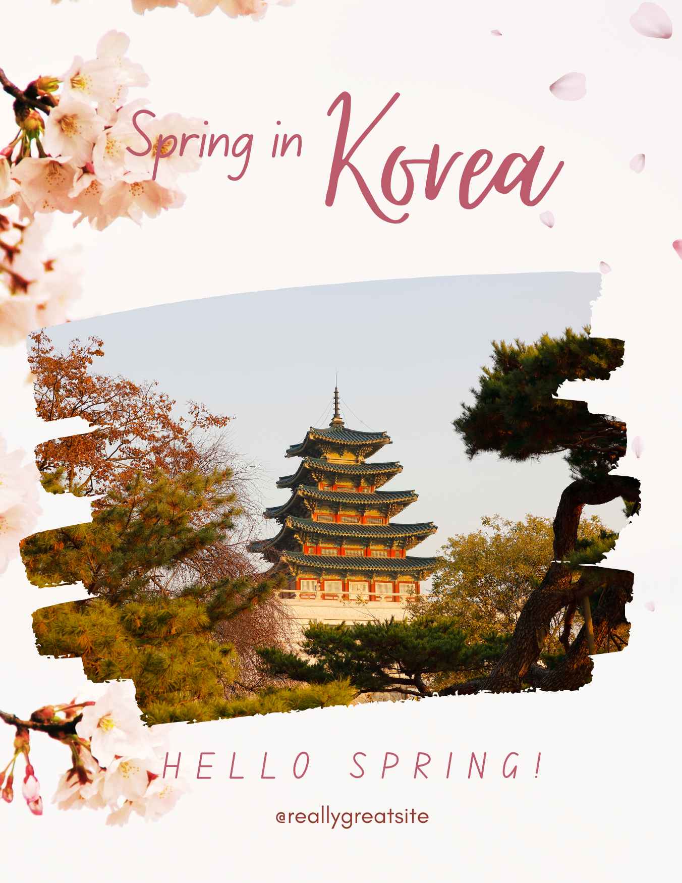 Korea Tour IB0631