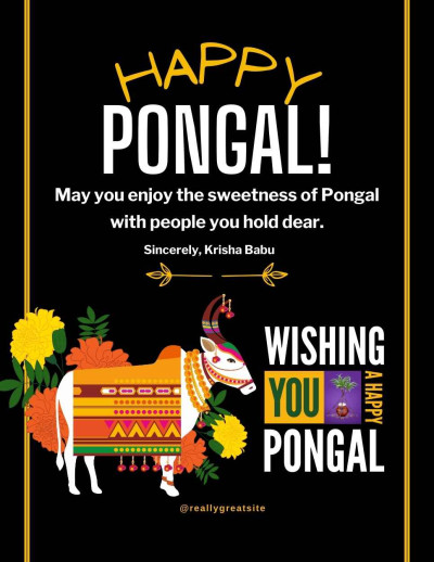 Pongal IB 3322